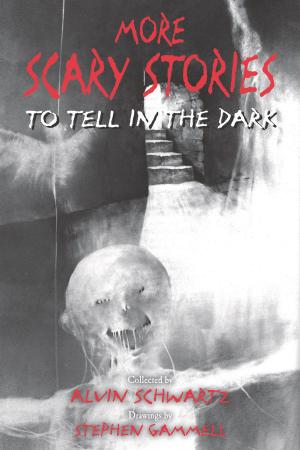 Cover of the book More Scary Stories to Tell in the Dark by Tim Green