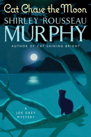 bigCover of the book Cat Chase the Moon by 