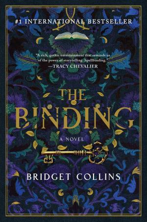 Cover of the book The Binding by Linda Seed