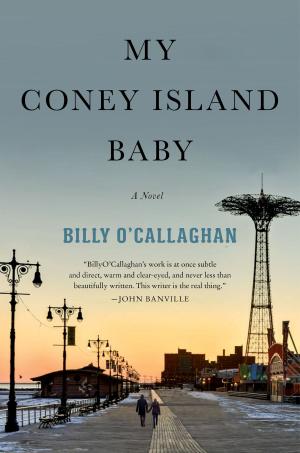 bigCover of the book My Coney Island Baby by 