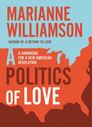 Cover of the book A Politics of Love by Deena Metzger