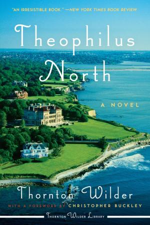 Cover of the book Theophilus North by Armistead Maupin