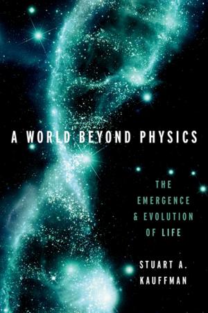 Cover of the book A World Beyond Physics by Albro Martin