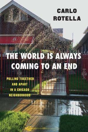 Cover of the book The World Is Always Coming to an End by Leo Strauss