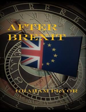 Cover of the book After Brexit by Virinia Downham
