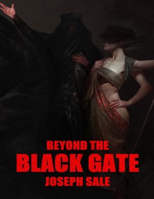 Cover of the book Beyond the Black Gate by Kenneth Robeson