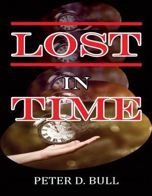 Cover of the book Lost In Time by Marianne S. Haynes