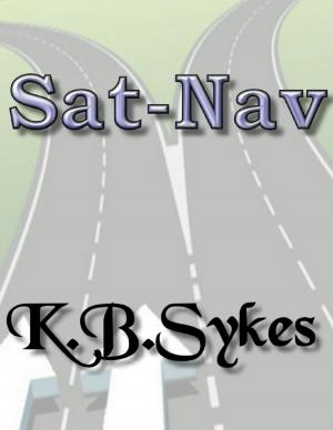 Cover of the book Sat - Nav by Matt Hackney