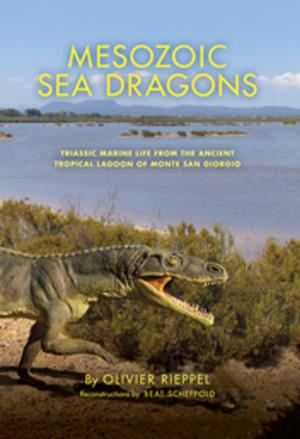 Book cover of Mesozoic Sea Dragons
