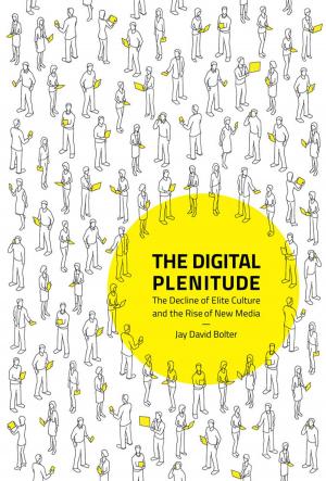 Cover of the book The Digital Plenitude by 