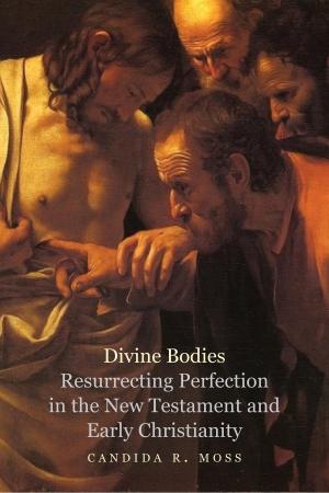 Cover of the book Divine Bodies by Prof. Robin Prior, Professor Trevor Wilson