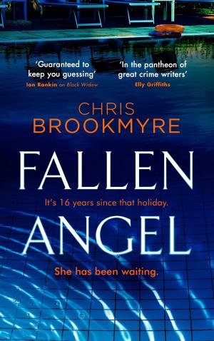 Cover of the book Fallen Angel by Michael Paterson