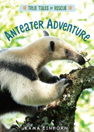 Cover of the book Anteater Adventure by Edward Kohn