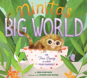 bigCover of the book Ninita's Big World by 