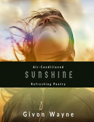 Cover of the book Air Conditioned Sunshine by Ronny A. Vargas