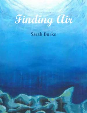 Cover of the book Finding Air by The Abbotts