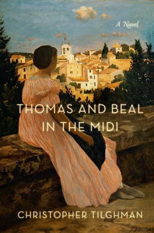 Cover of the book Thomas and Beal in the Midi by Bradford Martin