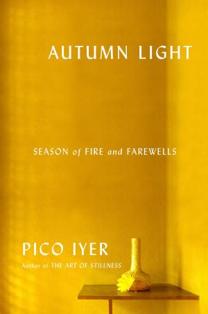 Cover of the book Autumn Light by Mona Simpson