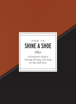 Cover of the book How to Shine a Shoe by Monika Scheddin