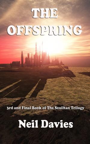 Cover of the book The Offspring by Evelyn Weibel