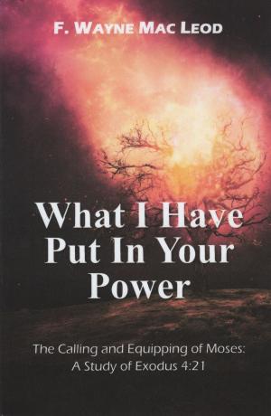 Cover of the book What I Have Put in Your Power by MAC