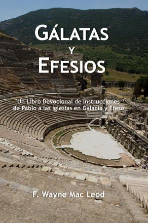 Book cover of Gálatas y Efesios