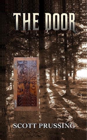 Cover of the book The Door by Tonya Macalino