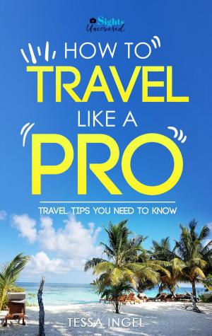 Cover of How To Travel Like A Pro: Travel Tips You Need To Know