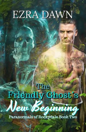 Cover of the book The Friendly Ghost's New Beginning by Jack Silince, Eden Elsworth