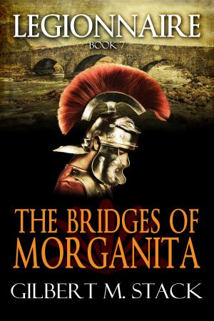 Cover of the book The Bridges of Morganita by D. R. Evans