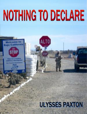 Cover of the book Nothing To Declare by Dave Galanter, Greg Brodeur