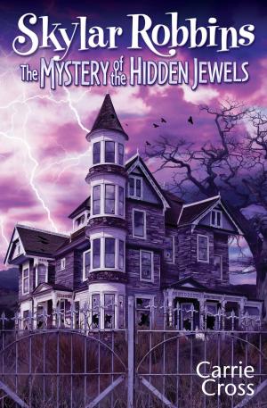 Cover of the book Skylar Robbins: The Mystery of the Hidden Jewels by Michel Bussi