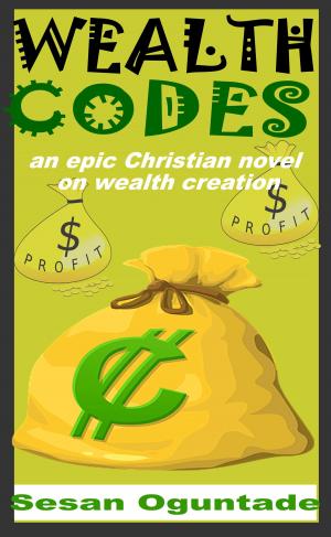 Cover of Wealth Codes: An Epic Christian Novel On Strong Financial Teachings And Wealth Creation
