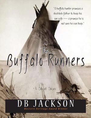 Cover of the book The Buffalo Runners by David Macfie