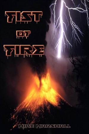 Book cover of Fist of Fire