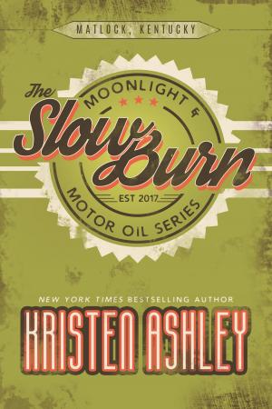 Cover of the book The Slow Burn by Kristen Ashley