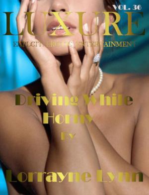Book cover of Driving While Horny