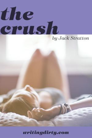 bigCover of the book The Crush by 