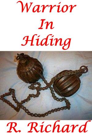 Book cover of Warrior In Hiding