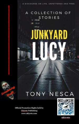 Book cover of Junkyard Lucy
