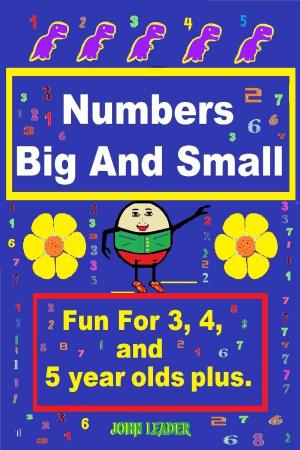 Cover of the book Numbers Big And Small by John Leader