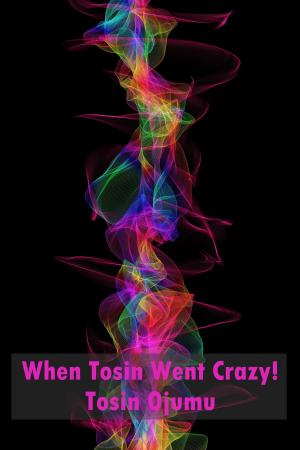 Cover of When Tosin Went Crazy!