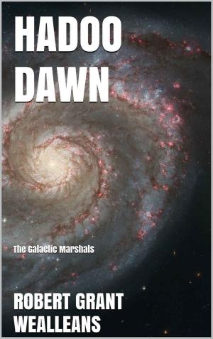 Cover of the book Hadoo Dawn by K. S. Daniels