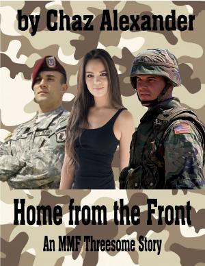 Cover of the book Home from the Front by Willow Bern