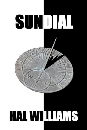 Cover of the book Sundial by Trevor Gallop