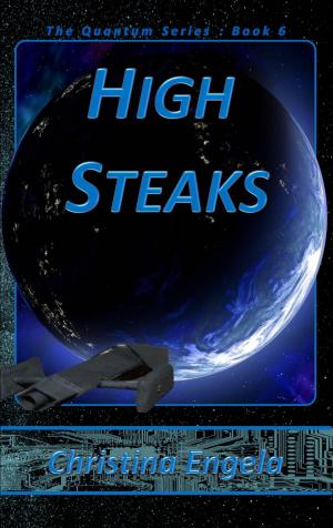 Cover of the book High Steaks by Kelly Boyce