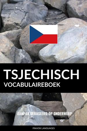 Cover of Tsjechisch vocabulaireboek: Aanpak Gebaseerd Op Onderwerp