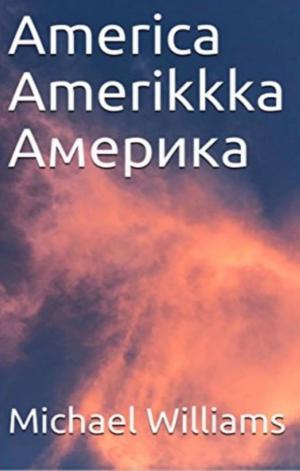 Book cover of America Amerikkka Америка