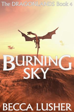 Cover of the book Burning Sky by Marissa Doyle