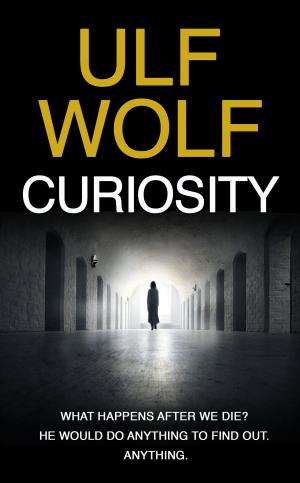 Cover of the book Curiosity by Ulf Wolf